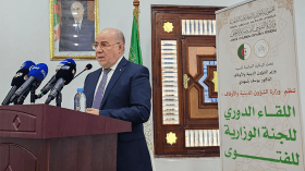 الذكاء الاصطناعي لن يعوض المفتي والاجتهاد يظل أساس الفتوى