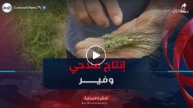 رغم تراجع طلبات رخص حفر الآبار.. إنتاج فلاحي وفير في مختلف الشعب ببرج بوعريريج