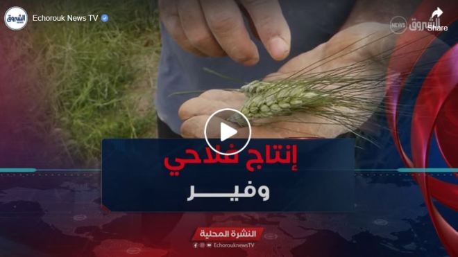 رغم تراجع طلبات رخص حفر الآبار.. إنتاج فلاحي وفير في مختلف الشعب ببرج بوعريريج