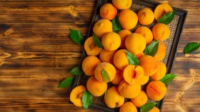 تعرّف على الفوائد المذهلة للمشمش