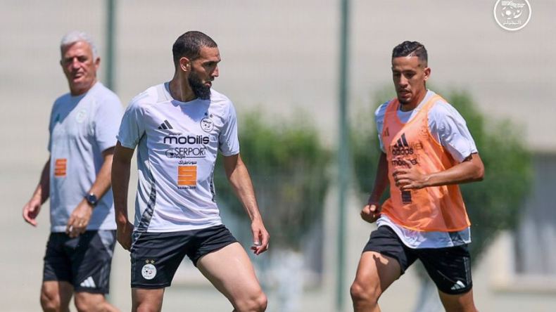بيتكوفيتش يضبط الخيارات والرهان منصب على البرهنة في المونديال