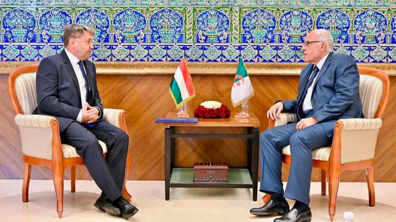 عطاف يستقبل سفير المجر