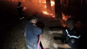 إخماد 42 حريقًا وبقاء بؤرة واحدة مشتعلة في سكيكدة