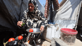 ثلثا سكان غزة قد يتعرضون للجوع الشديد قبل نهاية السنة