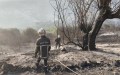 حرائق الصيف.. 65 حريقًا مسجلًا و63 تحت السيطرة