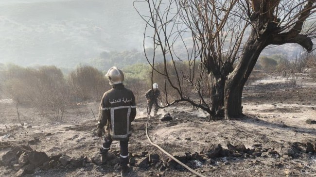 حرائق الصيف.. 65 حريقًا مسجلًا و63 تحت السيطرة
