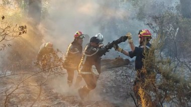 Protection civile: Extinction de 142 incendies sur un total 195 en 24h