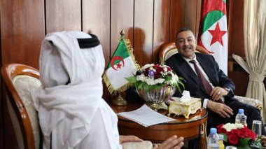 سعيود يؤكد دعم الدولة لتسريع إنجاز مشروع “بلدنا الجزائر”