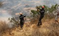 Protection civile :56 incendies sur un total 75 maitrisés en 24h