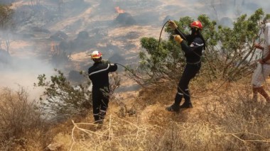 Protection civile :56 incendies sur un total 75 maitrisés en 24h