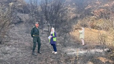 Feux de foret: Evaluation des dégâts sur les terrain