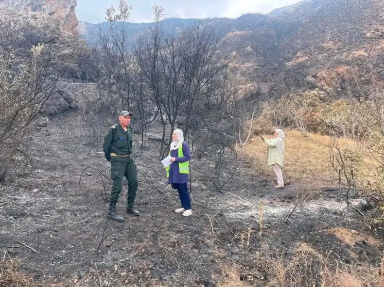 Feux de foret: Evaluation des dégâts sur les terrain