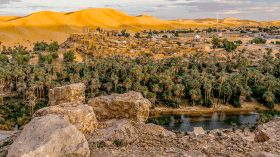“الصمايم”… تقويم فلاحي يعكس حكمة الأجداد
