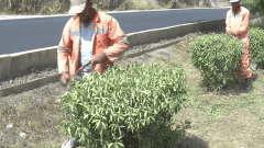 مهام شاقة لعمال الطرقات تحت لفح الشمس