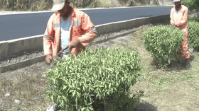 مهام شاقة لعمال الطرقات تحت لفح الشمس