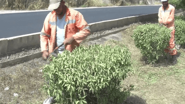 مهام شاقة لعمال الطرقات تحت لفح الشمس