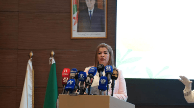 حماية الطفولة خيار استراتيجي للدولة واستثمار في مستقبل الجزائر