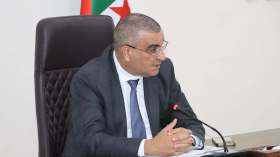 الخط المنجمي الشرقي للسكة الحديدية.. تدعيم الورشات بشركات إضافية