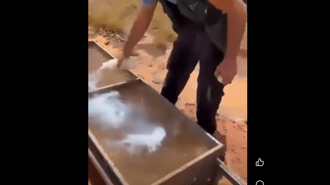 شكوى رسمية ضد شخص سكب مادة حمضية في مياه شرب الحيوانات