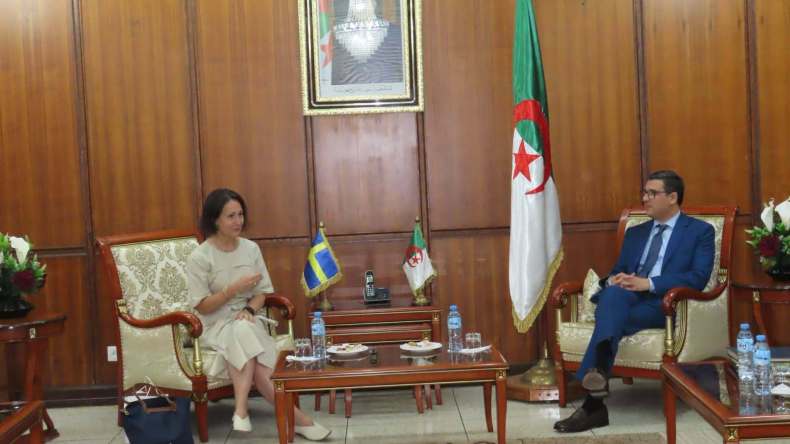 الجزائر والسويد تبحثان تعزيز الشراكة بين المؤسسات الصحية والجامعية في البلدين