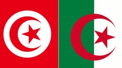 “رسالة شكر” تونسية إلى مجمّع سونلغاز