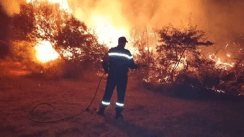 Tizi-Ouzou: Début de l’indemnisation des victimes des derniers incendies