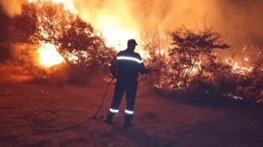 Tizi-Ouzou: Début de l’indemnisation des victimes des derniers incendies