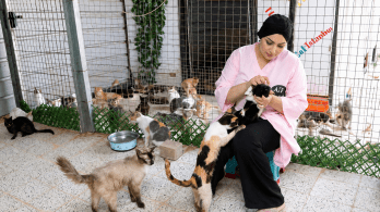 السيدة خديجة لعجامة: حبي لهذه الحيوانات دفعني إلى بناء هذا الملجأ