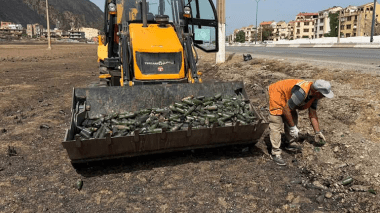 جمع أطنان القارورات الزجاجية من طريق بجاية – سطيف