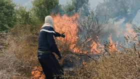 حرائق الغابات وما تفرضه علينا من واجبات