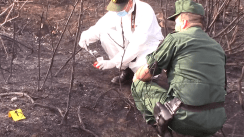 Algeria’s Wildfires: Investigating the Causes, Identifying the Victims