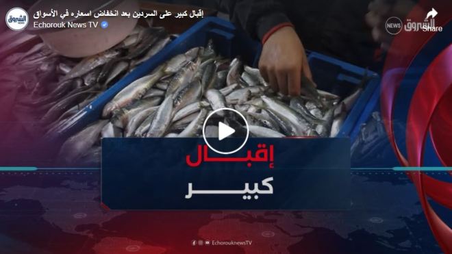 إقبال كبير على السردين بعد انخفاض اسعاره في الأسواق
