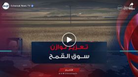 إنتاج الحبوب في الجزائر.. ارتفاع قياسي و تعزيز توازن سوق القمح