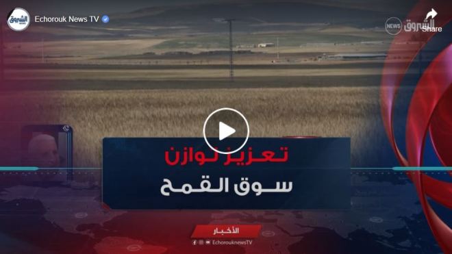 إنتاج الحبوب في الجزائر.. ارتفاع قياسي و تعزيز توازن سوق القمح