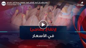 إرتفاع مفاجئ في أسعار الدجاج.. التجار يتحججون بموجة الحر والحرائق
