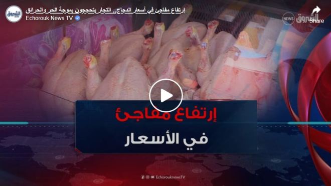 إرتفاع مفاجئ في أسعار الدجاج.. التجار يتحججون بموجة الحر والحرائق
