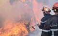 Incendies de Bejaia, Jijel et Tizi Ouzou: 12 morts et plusieurs blessés