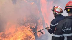 Incendies de Bejaia, Jijel et Tizi Ouzou: 12 morts et plusieurs blessés