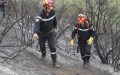 La bataille contre les incendies se poursuit avec 147 foyers éteints et 46 autres encore actifs dans 13 wilayas