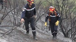 La bataille contre les incendies se poursuit avec 147 foyers éteints et 46 autres encore actifs dans 13 wilayas