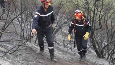 La bataille contre les incendies se poursuit avec 147 foyers éteints et 46 autres encore actifs dans 13 wilayas