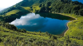 طبيعة معاداة الطبيعة