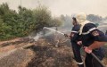 Protection civile: Extinction de 118 incendies sur 123 au cours des dernières 24 heures