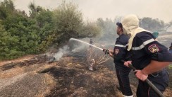 Protection civile: Extinction de 118 incendies sur 123 au cours des dernières 24 heures
