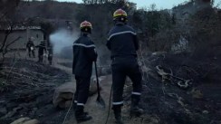 Protection civile : extinction de 110 incendies sur 174 au cours des dernières 24 heures