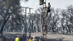 Incendies: Réparation de plus de 35 km de réseau électrique à Skikda