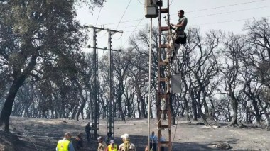 Incendies: Réparation de plus de 35 km de réseau électrique à Skikda