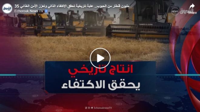 35 مليون قنطار من الحبوب .. عتبة تاريخية تحقق الاكتفاء الذاتي وتعزز الأمن الغذائي