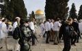Mosquée Al Aqsa: Des centaines de sionistes accomplissent des rituels talmudiques à la mosquée