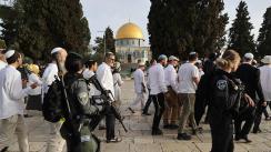 Mosquée Al Aqsa: Des centaines de sionistes accomplissent des rituels talmudiques à la mosquée